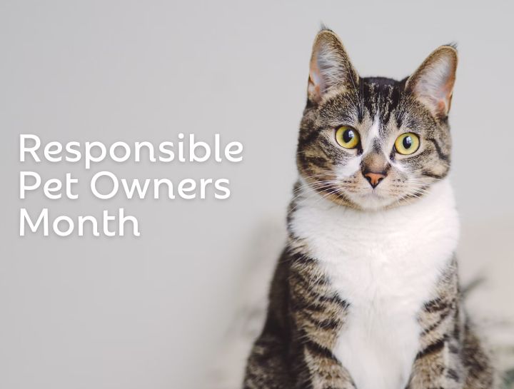 Responsible Pet Ownership